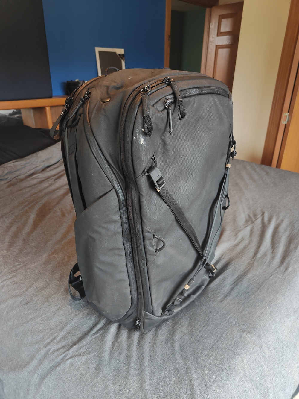 Peak Design 45L Travel Backpack